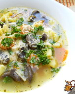 Суп из лесных грибов и вермишели