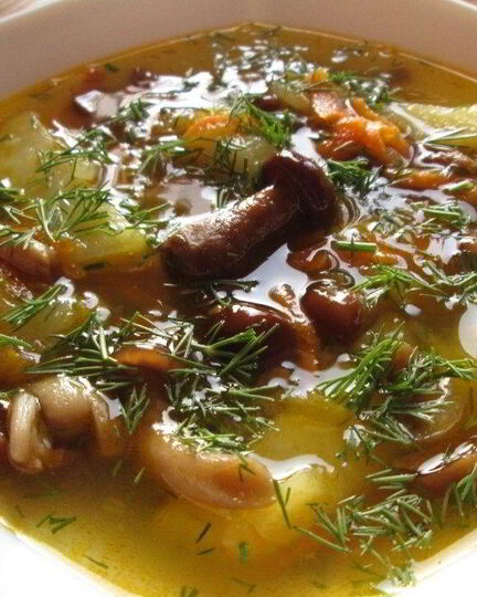 Рецепт супа из замороженных подберезовиков