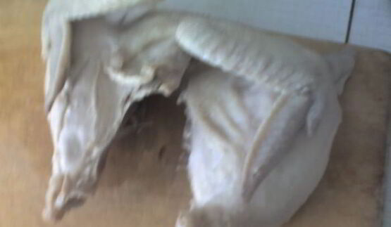 харчо из курицы