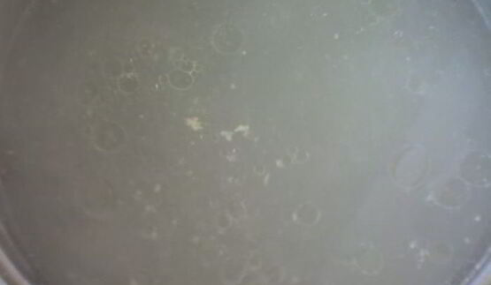 харчо из курицы