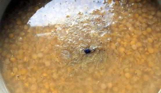 чечевичный суп-пюре с лисичками