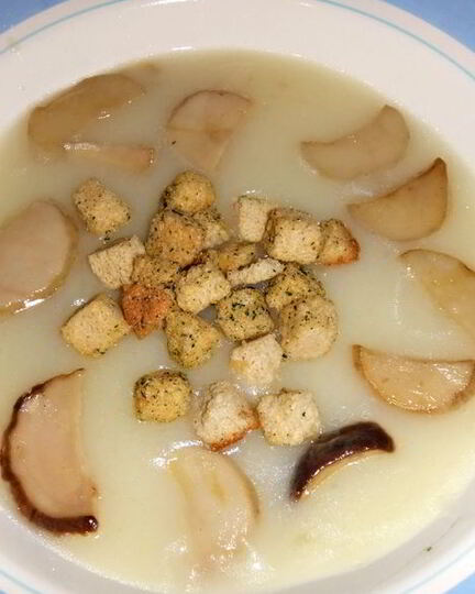 Рецепт грибного супа-пюре из белых грибов