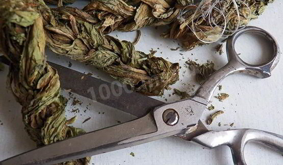 конский щавель — суп-пюре из авелука