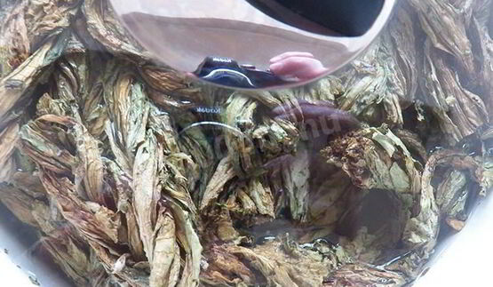 конский щавель — суп-пюре из авелука