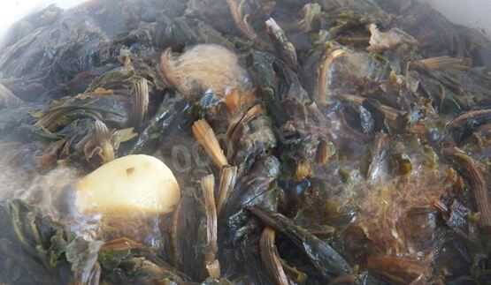 конский щавель — суп-пюре из авелука