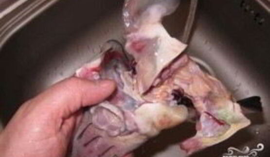 уха из головы осетра