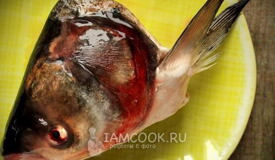 уха из головы толстолобика