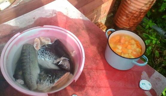 уха из лосося и форели