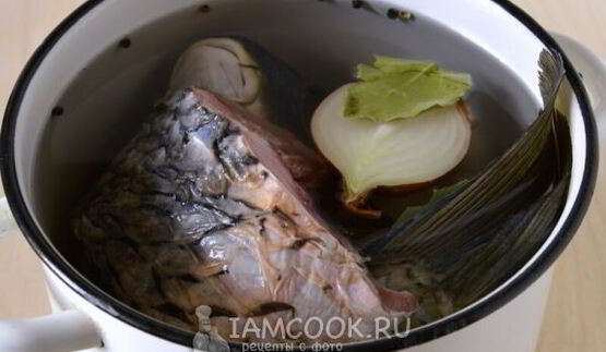 уха из сазана