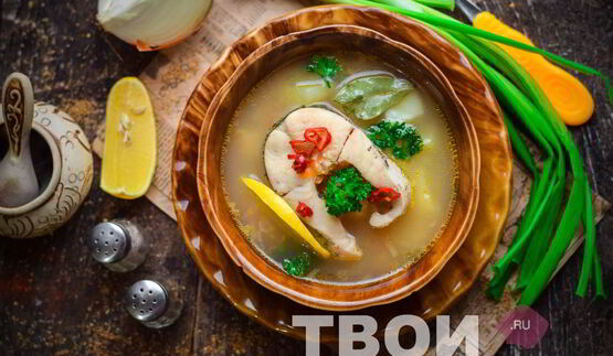 уха из щуки