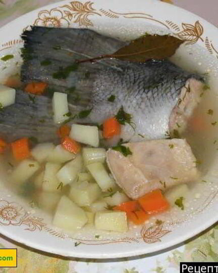 Рецепт ухи из семги по-русски