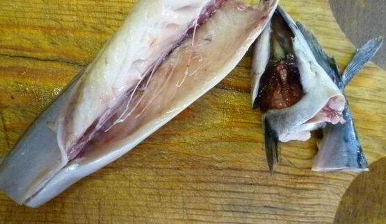 уха из скумбрии