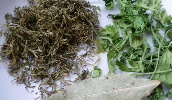 уха из скумбрии