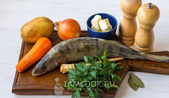 уха из судака по-домашнему