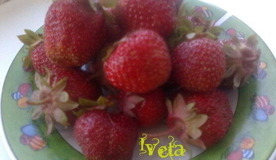 блинчики летний сон