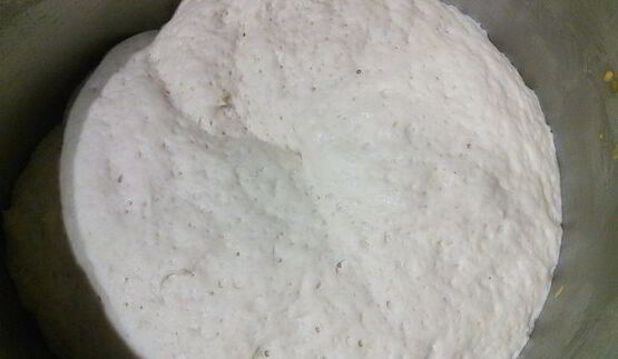 белый хлеб с камамбером