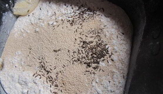 темный хлеб на пиве с тмином и черносливом