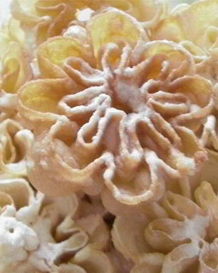 Хворост Розочки