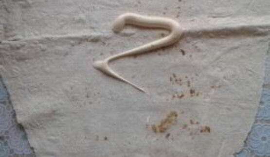 фаршированный лаваш