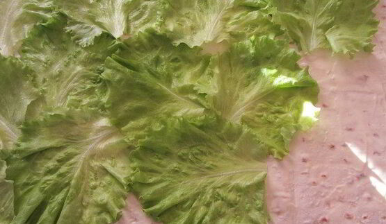 лаваш с красной рыбой