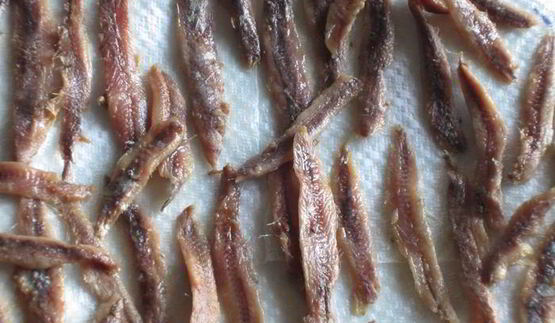 фокачча писсаладьер