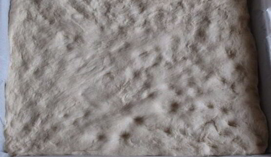 фокачча писсаладьер