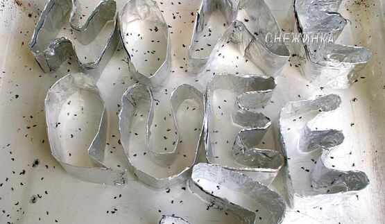 маффины с черникой и миндалем