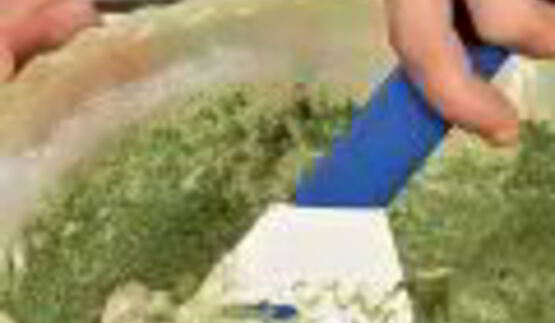 шпинатные маффины