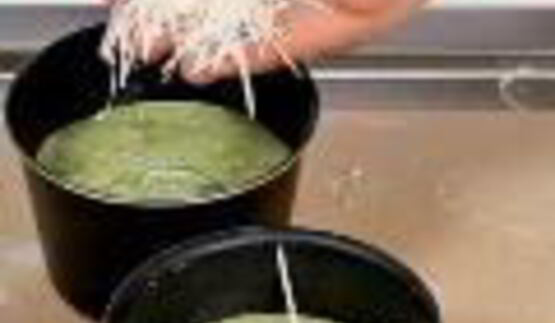 шпинатные маффины