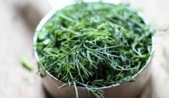 оладьи из цуккини