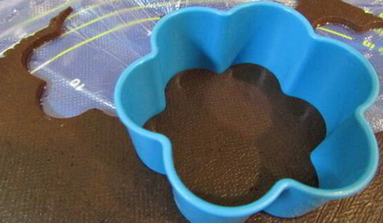 шоколадное печенье