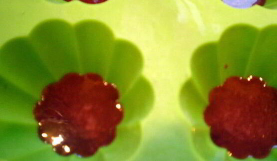 муссовое пирожное с персиком и смородиной