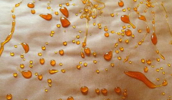 пирожное морская ракушка