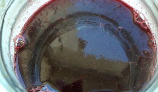 заварные пирожные нежность