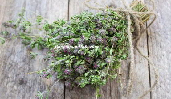 пицца маринара на томатном тесте