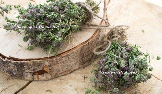 пицца маринара на томатном тесте