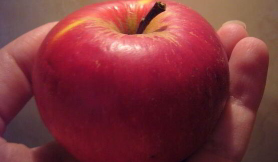 пончики голландские шары