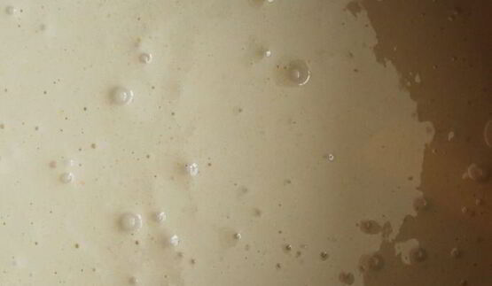 шарлотка с черной смородиной из мультиварки