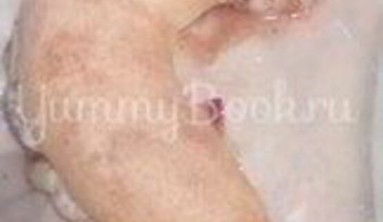 яблочный штрудель