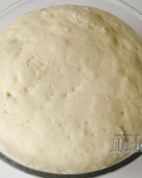 Дрожжевое сдобное тесто для пиццы