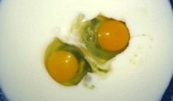 пирожковое тесто за 5 минут