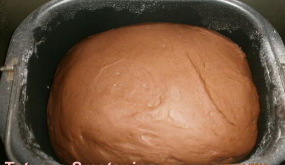 шоколадное дрожжевое тесто