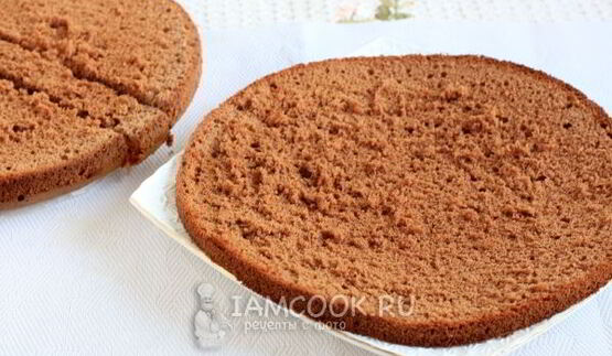 бисквитный торт панчо со сливочным кремом и ягодами