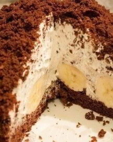 Рецепт домашнего торта норка крота