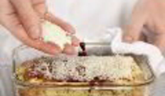 несладкая творожная запеканка