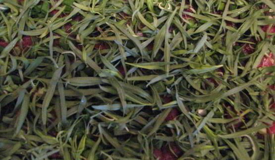 запеканка по-грузински