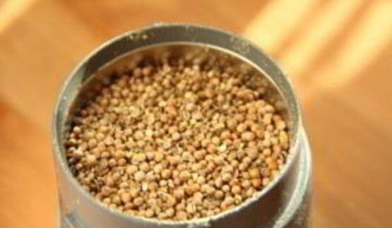 аджика грузинская