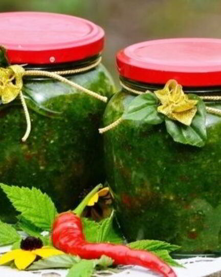 Рецепт аджики из петрушки
