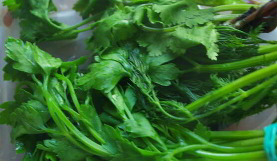 аджика холодным способом