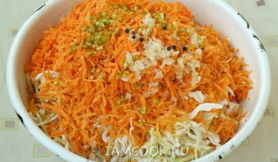 баклажаны с капустой на зиму